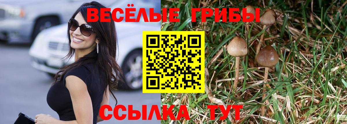 Галлюциногенные грибы Cubensis Мценск
